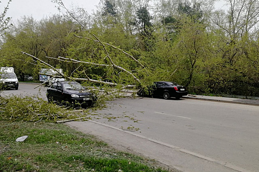 В Екатеринбурге сняли на видео результат шторма. «Сломало деревья»