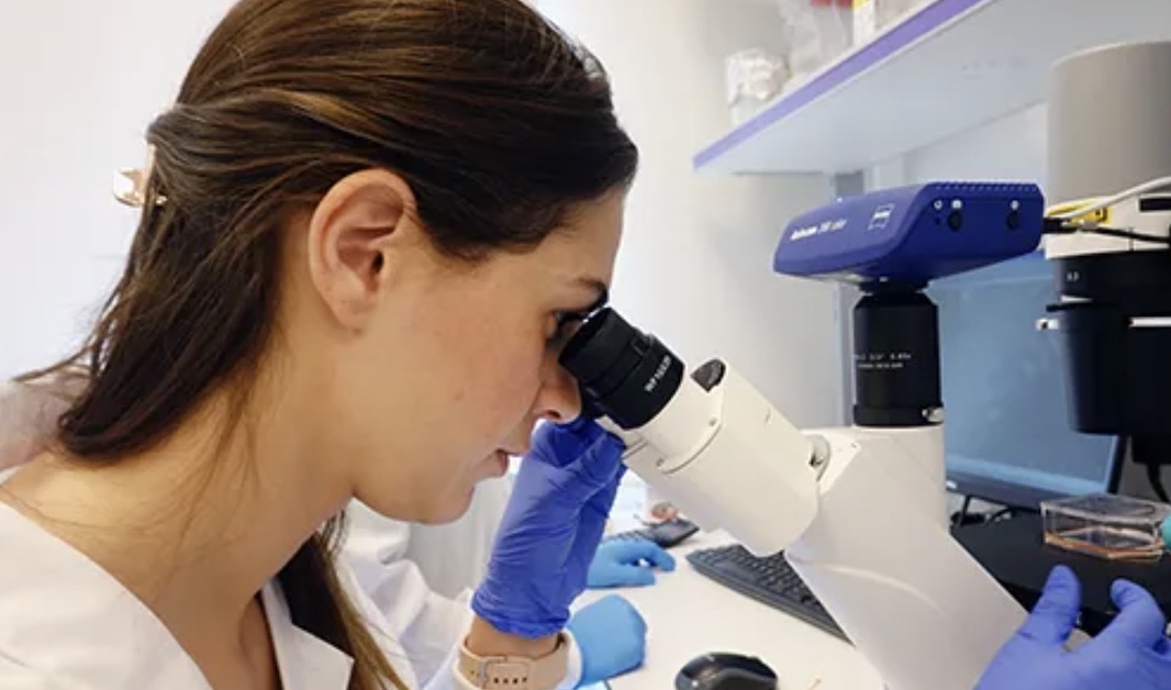 Politico: Европа планирует переманивать исследователей из США