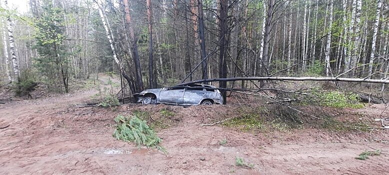 В Вятскополянском районе пьяный водитель на «Ладе» въехал в дерево