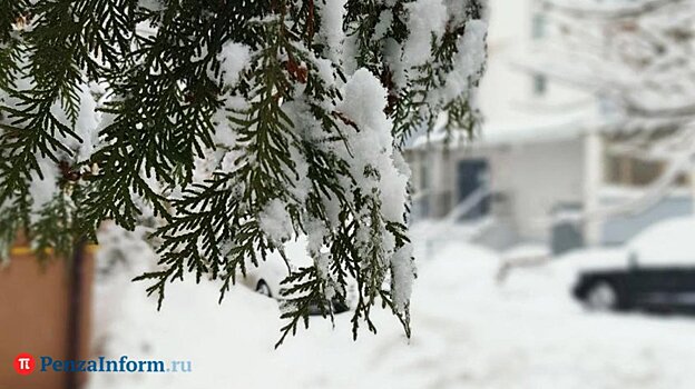 Прогноз погоды на 6 февраля: сильные морозы начнут отступать