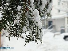 Прогноз погоды на 6 февраля: сильные морозы начнут отступать