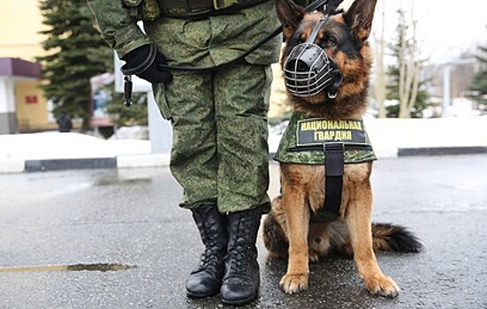 В Москве проверяют здание СК РФ