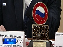 Уфа готовится принять первые Открытые юношеские игры боевых искусств Приволжского федерального округа