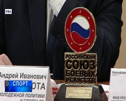 Уфа готовится принять первые Открытые юношеские игры боевых искусств Приволжского федерального округа