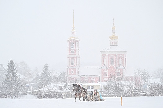 Самый большой снежный покров в ЦФО циклон намел во Владимирской области