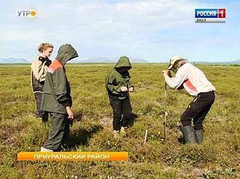 Студенты из Москвы, США и Европы приехали на Ямал изучать вечную мерзлоту