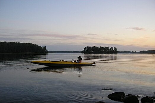 Федерация гребли на байдарках Японии назвала действия Судзуки "гнусными"