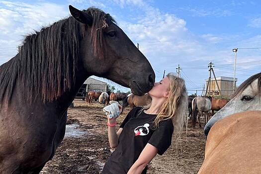 Российская студентка сумела создать самый большой конный приют страны. Как и от кого она спасает лошадей?