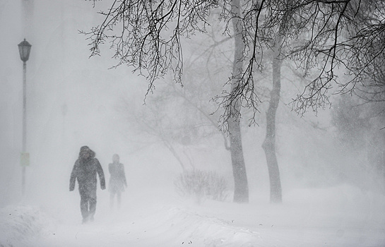 Синоптики рассказали о погоде в Москве на ближайшие сутки