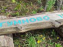 В лесу Раменского г.о. появилась еще одна лавочка-навигатор