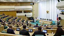 РБК: сенатор Мизулина может покинуть Совет Федерации
