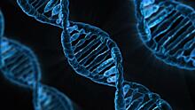 Ученые исследуют новую генетическую мутацию, которая приводит к умственной отсталости