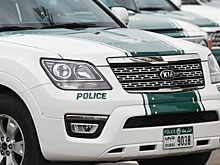 В убийстве стюардессы в Дубае обвинили петербургского бизнесмена