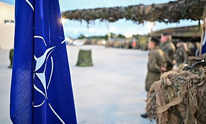 В США раскрыли отношение НАТО к одной серьезной проблеме