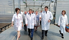 Бочаров принял решение выделить на развитие АПК дополнительные средства
