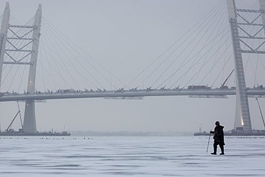 В Петербурге задержан один из активистов, блокировавших ЗСД