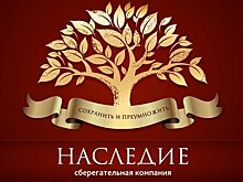 Основатель челнинской "пирамиды" СК "Наследие" отсудил 4,5 тысячи евро у РФ