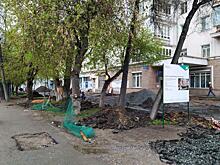 На улице Свободы в Челябинске снесут больные и опасные деревья