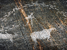 История под куполом: древнейшие петроглифы и первобытная стоянка в Заполярье