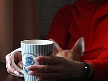 «Прибил бы, никто даже не заметил»: история пермячки, которая едва выжила после замужества