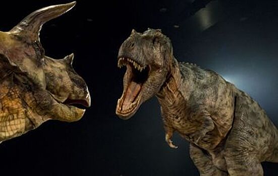 Ученые выяснили назначение крошечных лап тираннозавров