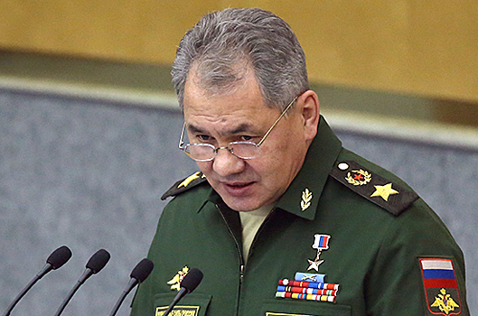 Нурсултан Назарбаев встретился с министром обороны России Сергеем Шойгу