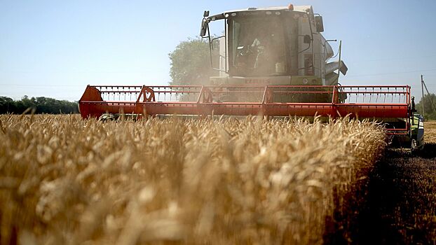 Ценовые игры: как Киев мешает экспорту российской пшеницы
