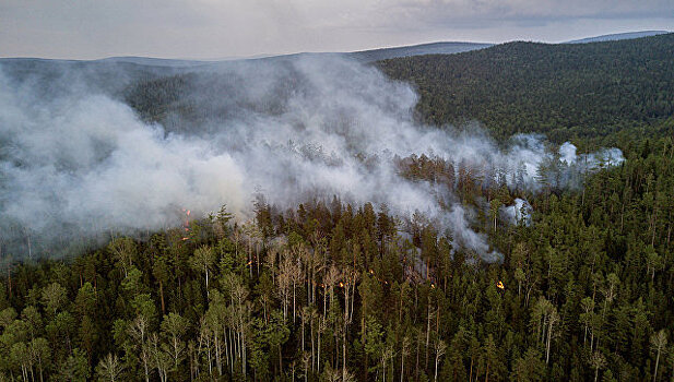 Интенсивность дальневосточных лесных пожаров снижается