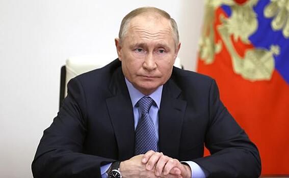 Путин исключил главу челябинского района из Госсовета
