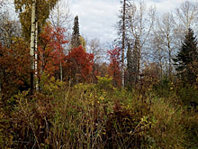 Жестоко убивший жену и маленьких дочерей в Ульяновске признал вину