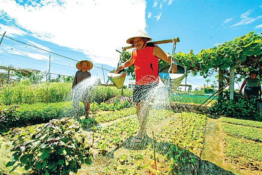 Стать вьетнамским фермером: иностранцам предлагают новые нестандартные туры