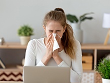 Минтруд представил варианты для уплаты самозанятыми взносов на больничный