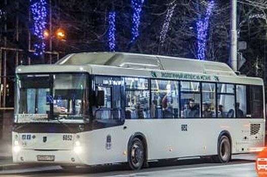 Директора ростовских АТП назвали причины нехватки автобусов на маршрутах