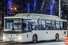Директора ростовских АТП назвали причины нехватки автобусов на маршрутах