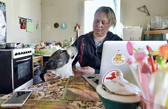 Самоизолировались за городом: как москвичи обустраивают свой быт на дачах