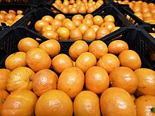 Поставки мандаринов из Абхазии снизились втрое