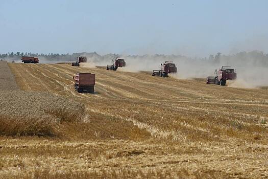 В сельских школах Адыгеи откроют еще восемь агроклассов в текущем году