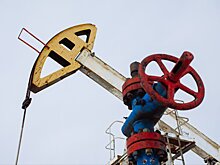 Индийская компания купила 2 млн баррелей российской нефти