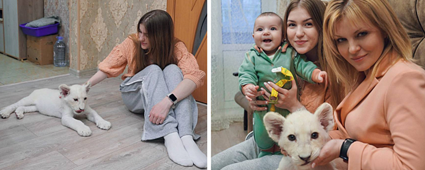 Алена Сокольская побывала в гостях у семьи, где живут белые львята из Донбасса