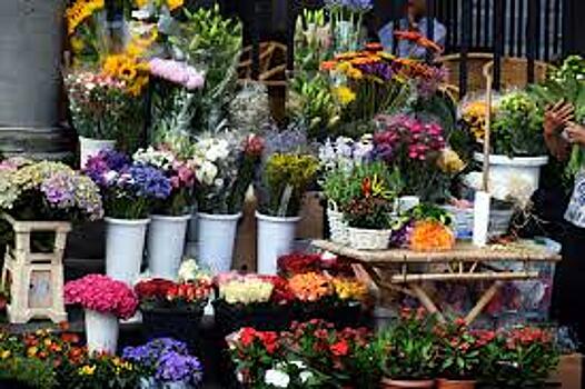 Несанкционированную продажу цветов в столице помогут выявлять активисты