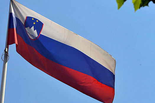 Exit poll: "Движение Свобода" лидирует на парламентских выборах в Словении