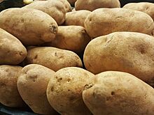 Японская философия для российского картофеля