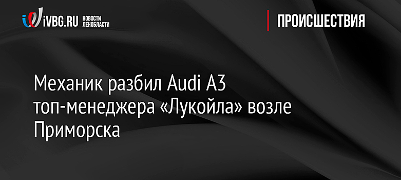 Механик разбил Audi A3 топ-менеджера «Лукойла» возле Приморска