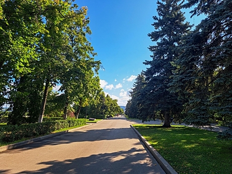 В Рязани расчистили территорию под новый сквер на Чкалова