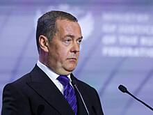 Медведев похвалил выступившего по-русски латвийского депутата