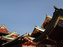 «Ночевал на улице»: певица Татьяна Тишинская рассказала о переезде сына в Китай