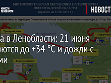 Погода в Ленобласти: 21 июня ожидаются до +34 °C и дожди с грозами