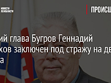 Бывший глава Бугров Геннадий Шорохов заключен под стражу на два месяца