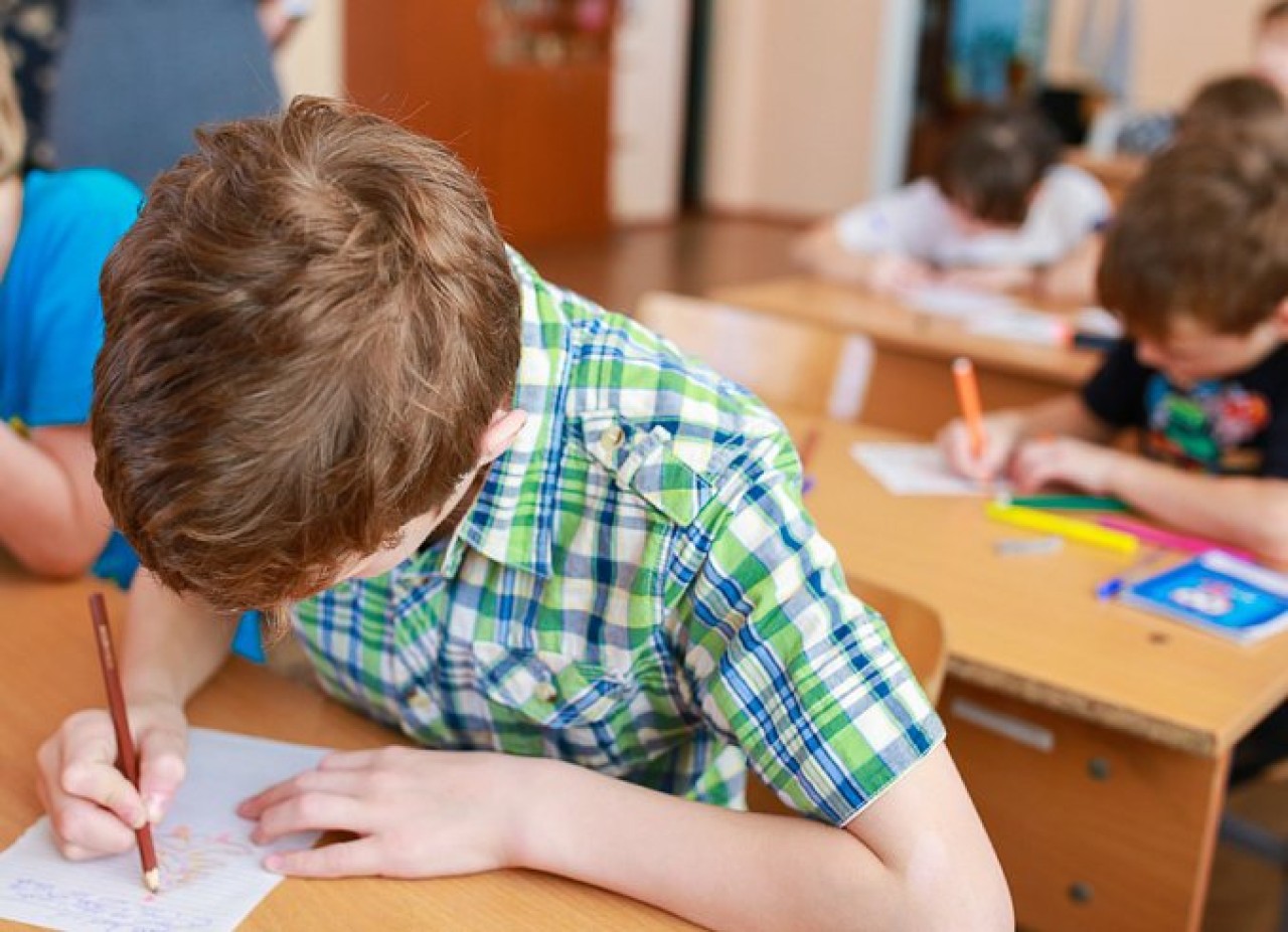 школьники в школе. какой новый предмет ввести в школе. дети в классе. занятия в школе. уроки в школе питере.