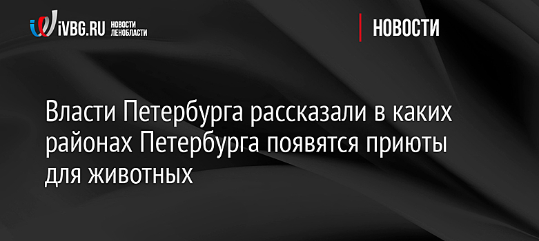 Власти Петербурга рассказали в каких районах Петербурга появятся приюты для животных